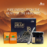 Himalixir Shilajit Resin